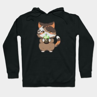 Cat Drinking Boba Tea Hoodie